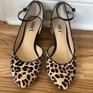 Leopard halogen wedge